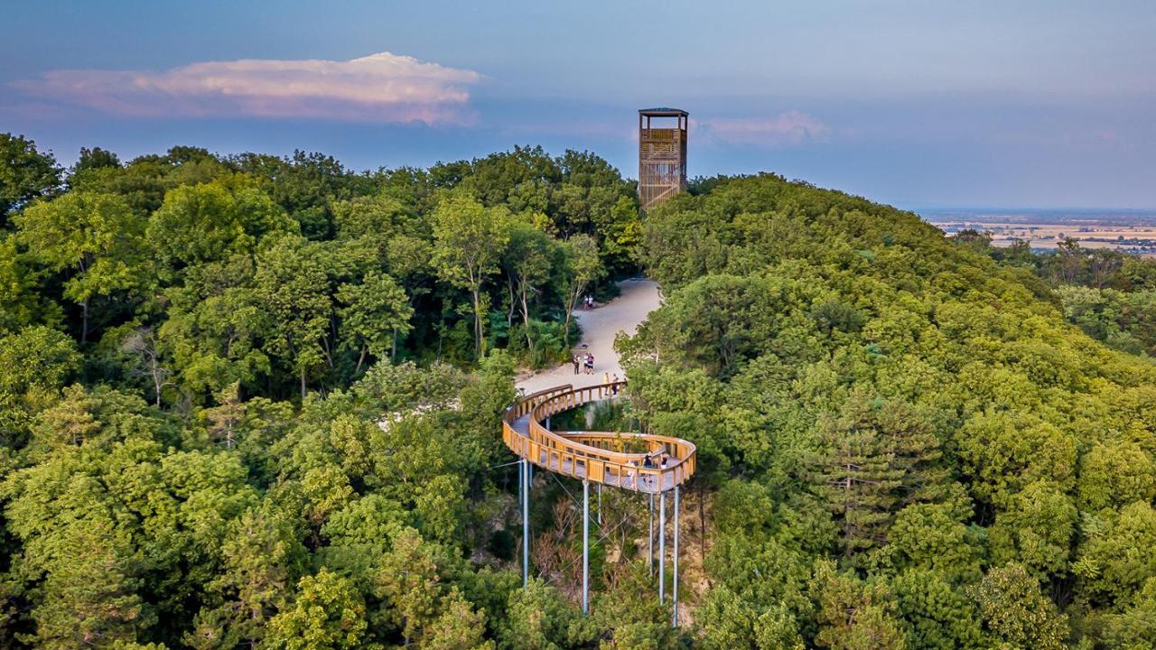 Panorama Birtok - Wellness Panzio, Konferencia Es Rendezvenykoezpont Bed & Breakfast Gyorujbarat Bagian luar foto